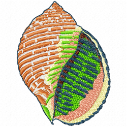 Seashell Embroidery Design 5 Seashell Embroidery Design 5